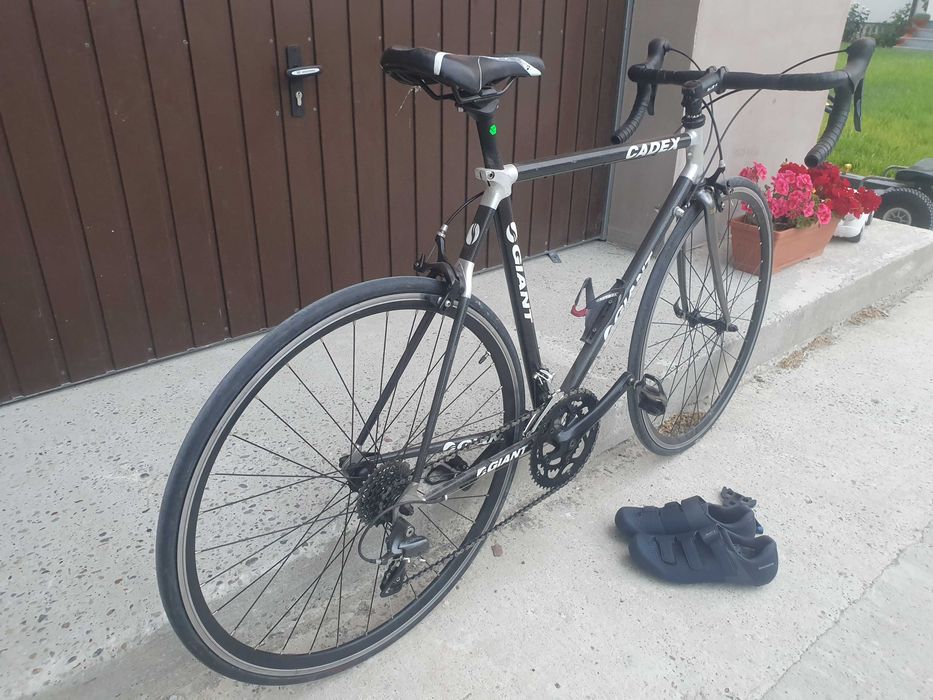 Cursiera carbon 55cm giant cadex