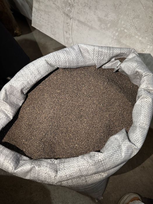 Жоңышқа тұқымы сатылады