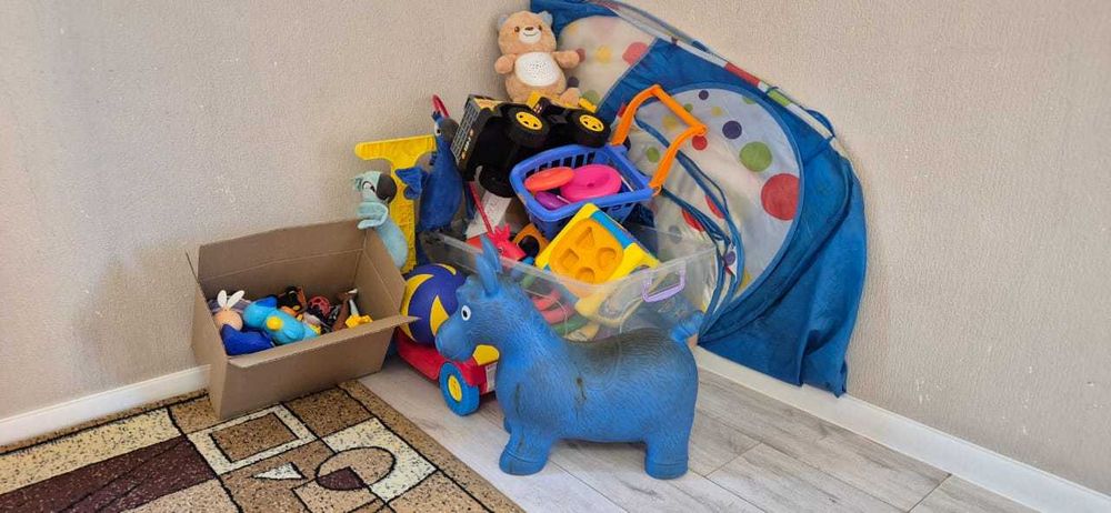 Переноски для животных и детские игрушки