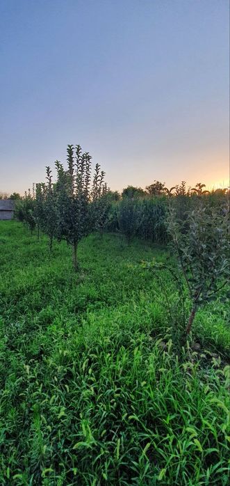 Продается Участок в таваксае