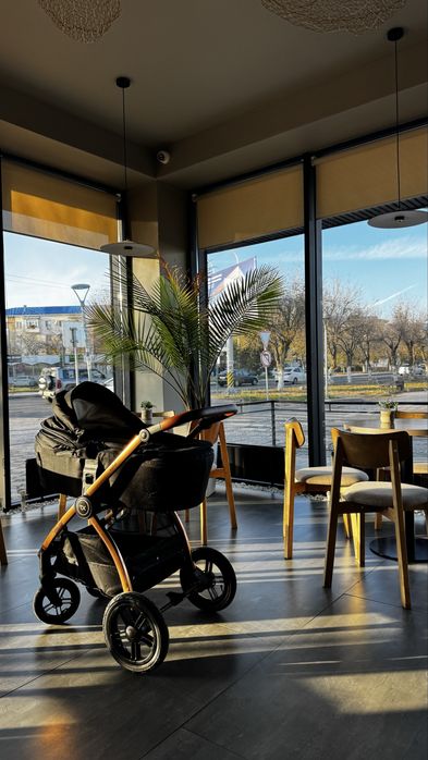 Коляска прогулочная TOMIX Walker Lux, черный