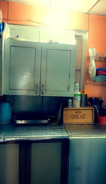 Продам дачу, Спутник