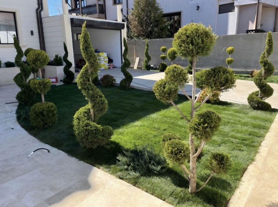 Amenajare gradina cu gazon rulou si plante ornamentale