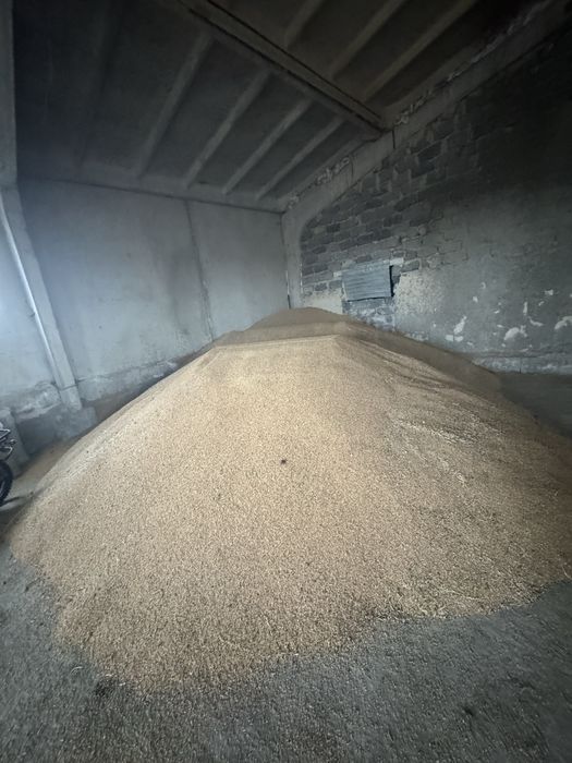 Продам зерноотходы-кормосмесь ЖЕМ