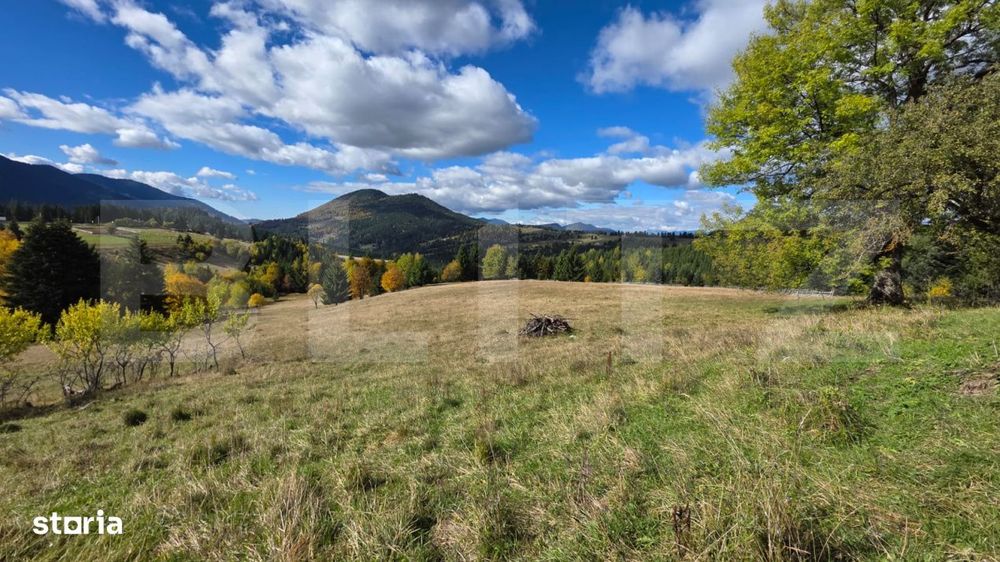 Teren 1,5 hectare - la Piatra Fantanele