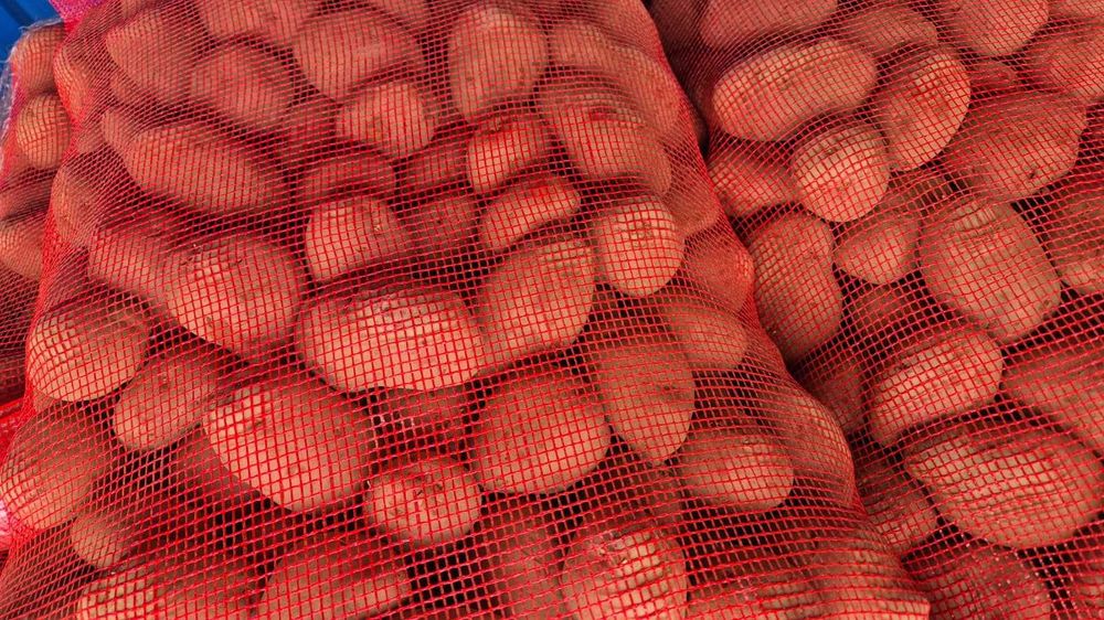 Vand cartofi rosii,55+