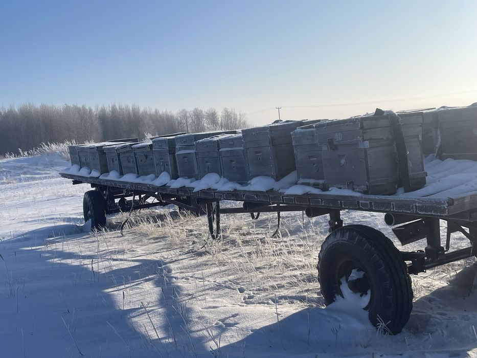 Прицеп пчеловодческий с уликами