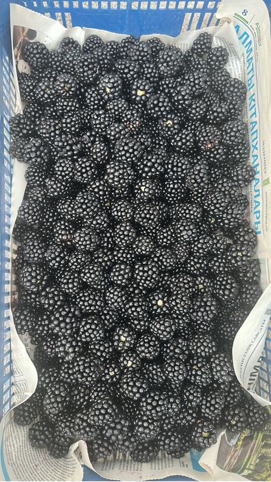 Ежемалина на продажу