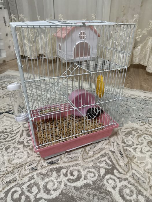 Крыска девочка со всем нужным