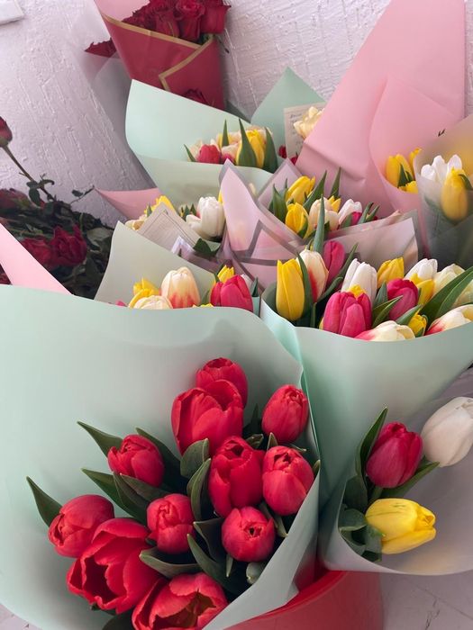 Тюльпан тюльпан цветы