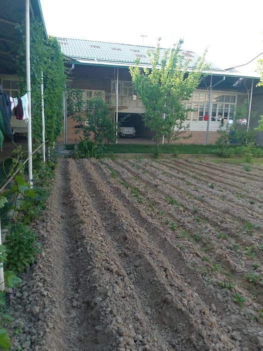 Uy sotiladi tez katta hovli 10sotix 11xona