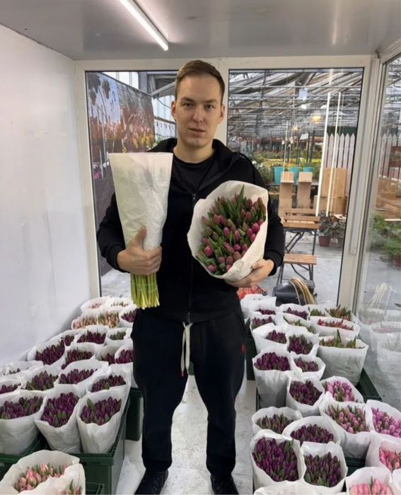 Тбюльпаны местные  Голландия