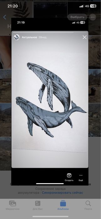 Картина со вкусом эстетика