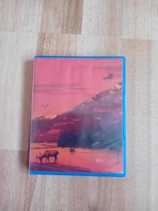 Red Dead Redemption 2