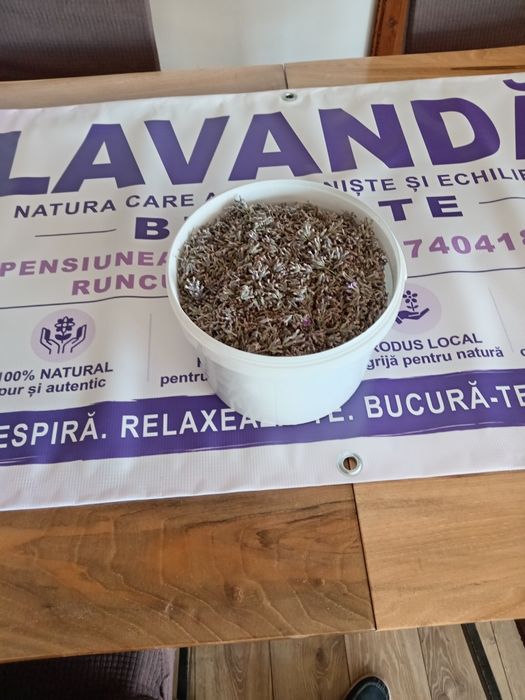 Floare de lavanda la kg