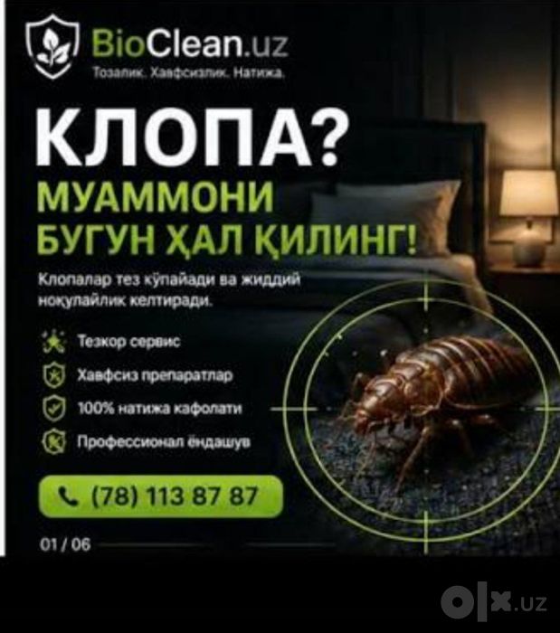 Дизинфекция, Дизинекция