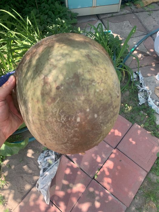 Каска Военная  Солдат  Офицер