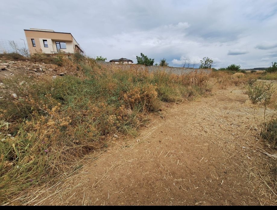 Teren intravilan de vânzare -  594 mp - Preajba - Malu Mare 53.000€.