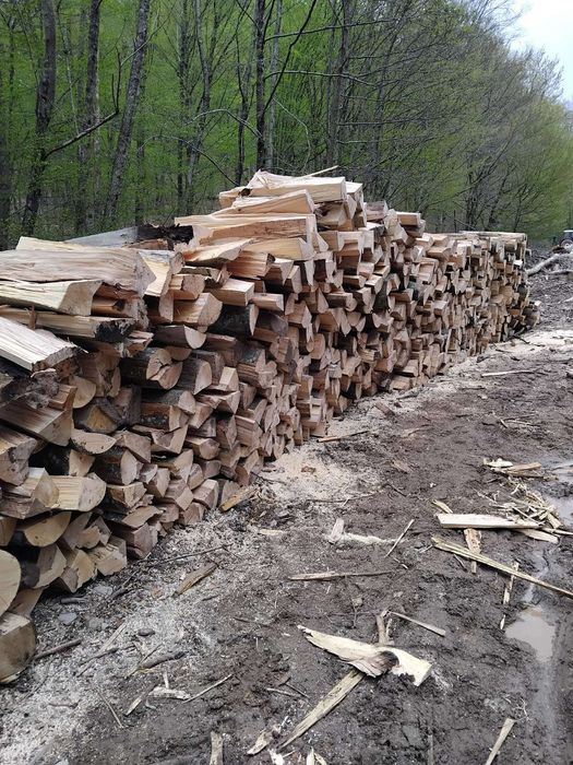 ‼️Lemne de foc doar esemte tari