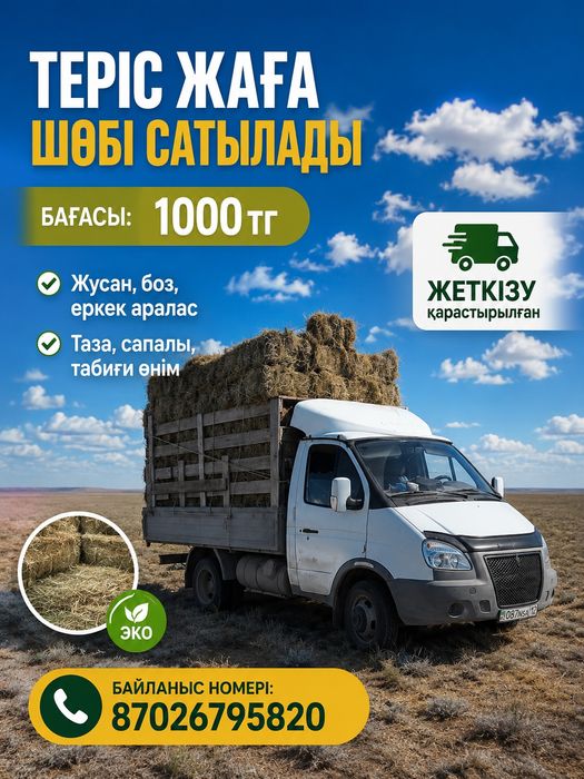 Шөп сатылады теріс жаға
