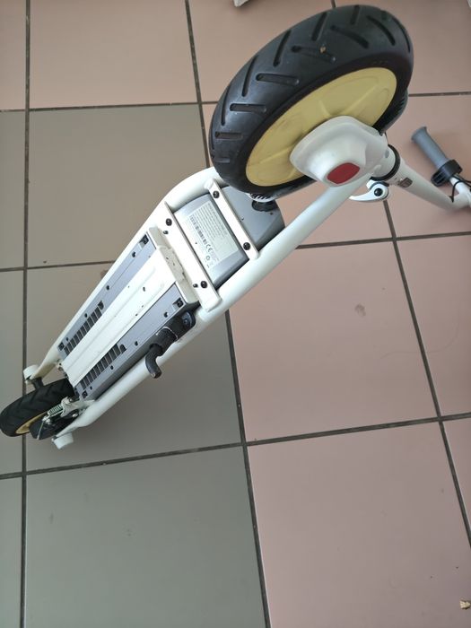 Тротинетка Ninebot zing c10