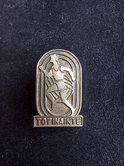 2 insigne pionieri, lipsă emailuri