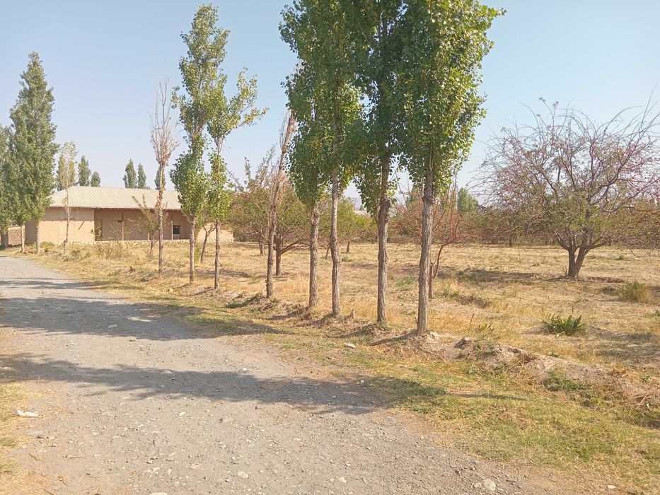 Новка кишлоги Уй ховли сотилади Участка 40 сотка