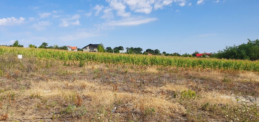 Teren intravilan Rediu