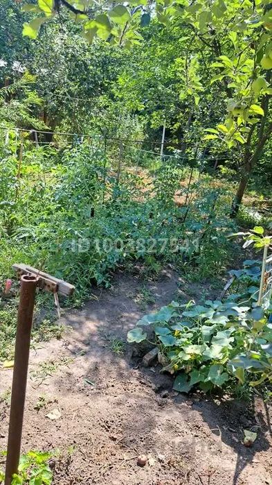 Дом  дача  приобретаем )