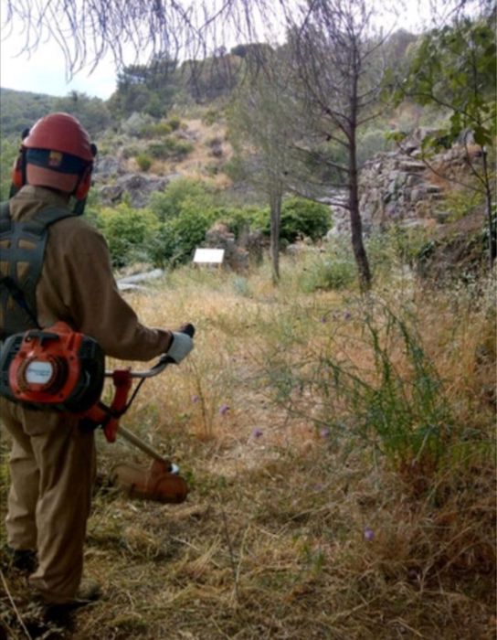 Tocător de inchiriat