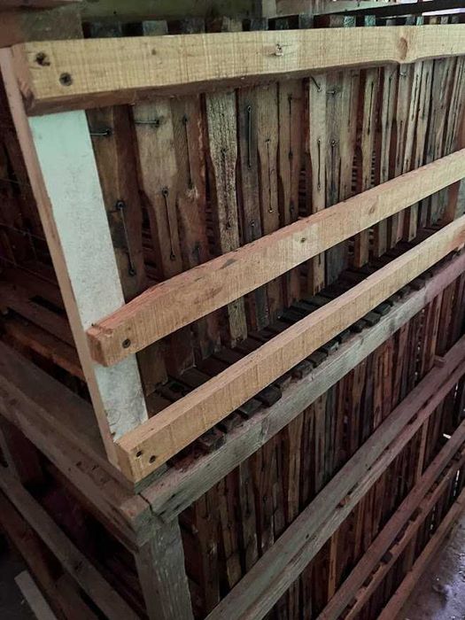 Rame albine 1/1 Dadant - jud. Arad