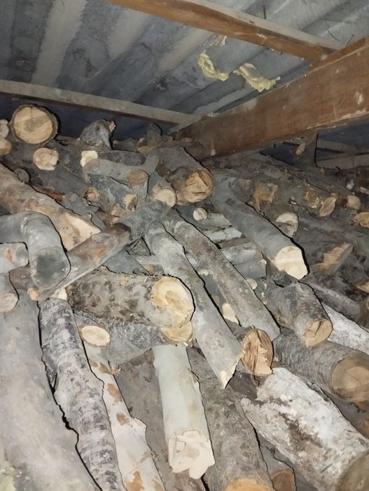 Oʻtin sotiladi dastafka toshken boʻylab