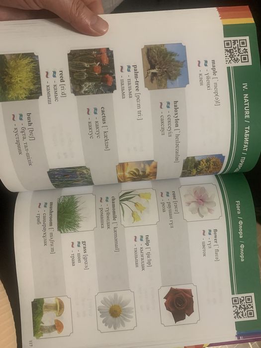 Словарь английского