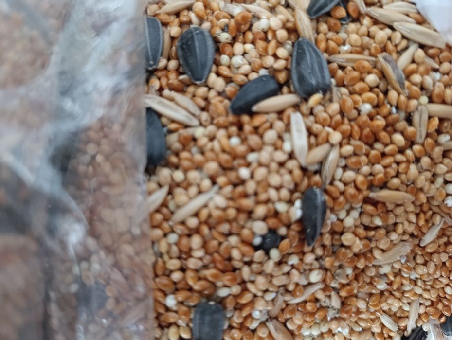 Корм для птиц, попугаев