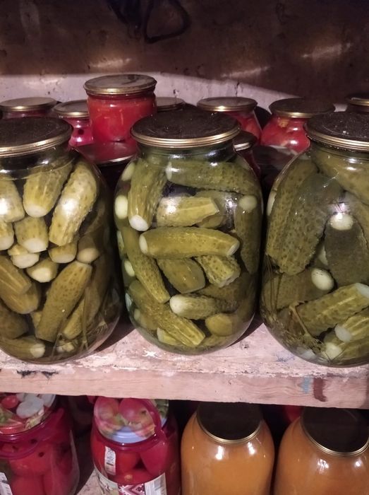 Соленые огурцы и помидоры