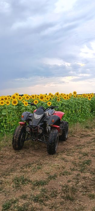 Vand sau schimb cu ceva mai mare(diferenta de la mine) ATV SMC barossa 250cc- 2 cilindri manual