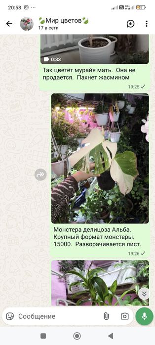 Цветы  в  ассортименте