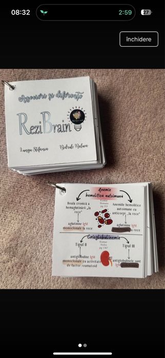 Flashcarduri Asocieri&diferențeRezibrain  rezidentist