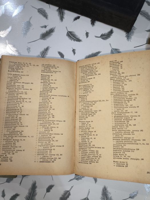 Антикварная книга анатомия человека