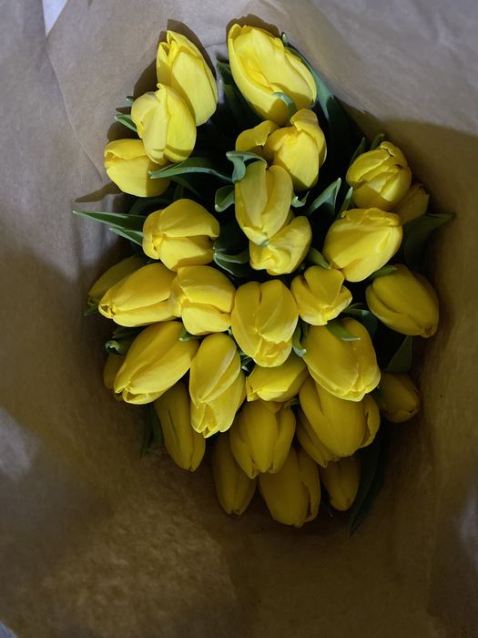 Тюльпаны оптом и в розницу