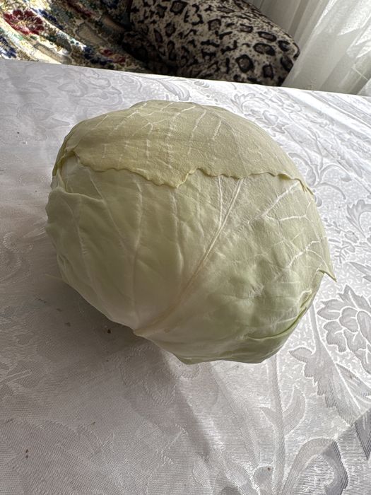 vând varză proapătă