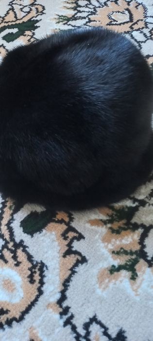 Женская норка, малакай