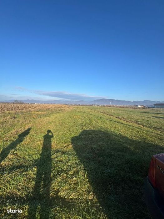 Teren de vanzare – Mocira, jud. Maramures 18 ari