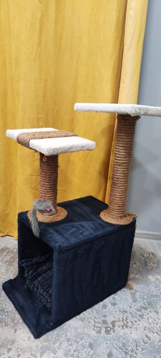 Котешка катерушка