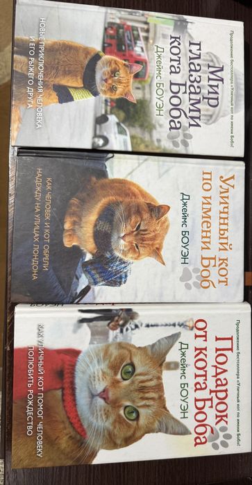 Трилогия « История кота Боба»