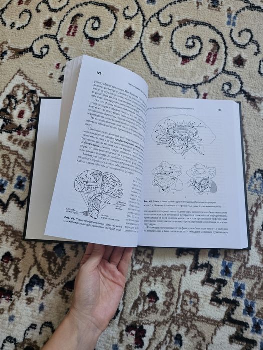 Книга основы нейропсихологий