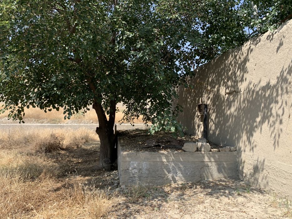 Ер сотилади: Самарканд колхоз победа