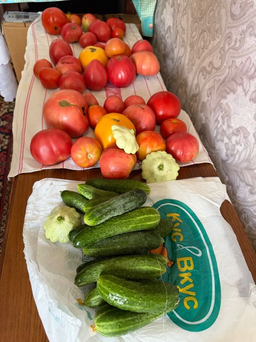 Продам свежие помидоры и огурцы