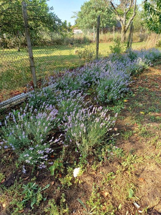 Продава се Парцел в Русе, Здравец Север 1 - 680 кв.м за 23 €/кв.м - Снимка #1