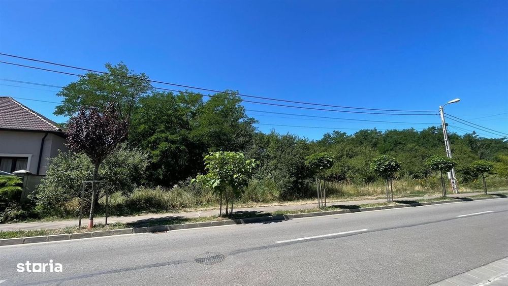 Teren Intravilan Oncea 3000Mp